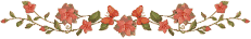 Fla 3.PNG 3 1 6
